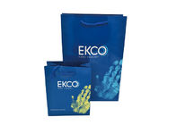 personalised Custom print glossy blue shopping paper bags with PP handle